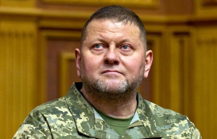 What happened to the commander-in-chief of the Ukrainian army? Where did he go?